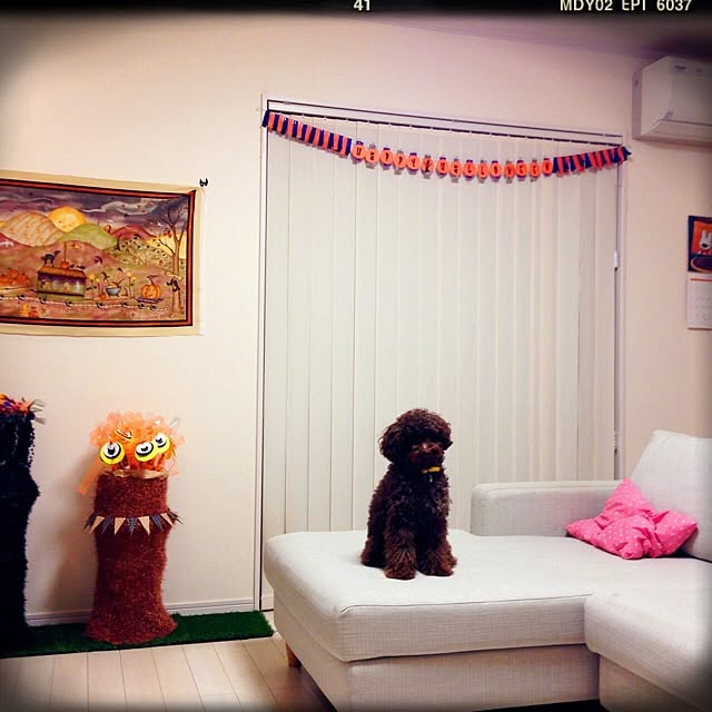 merryさんの実例写真