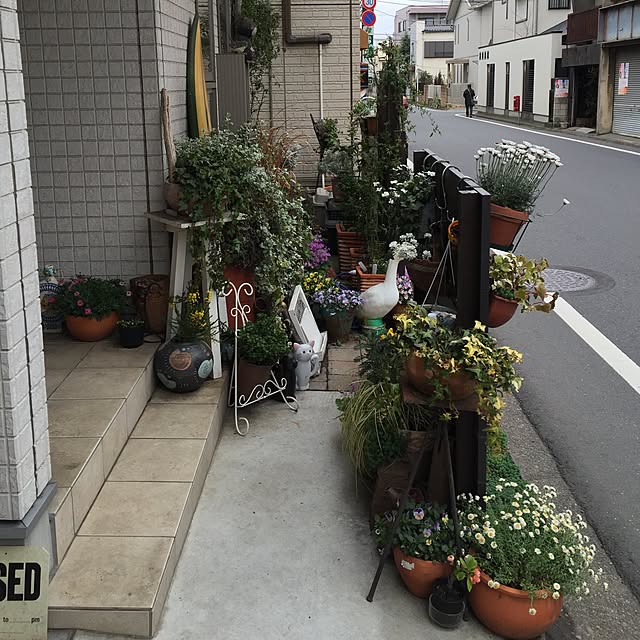 Kazukoさんの実例写真