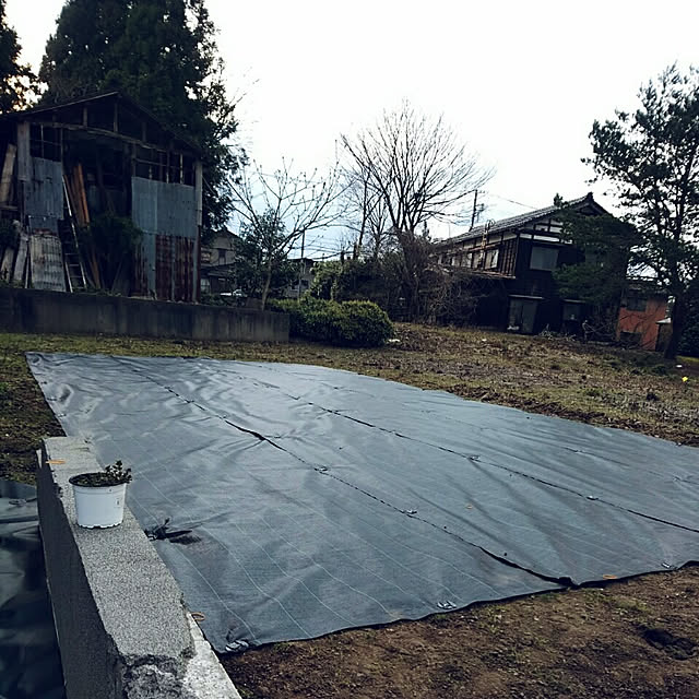 emiさんの実例写真