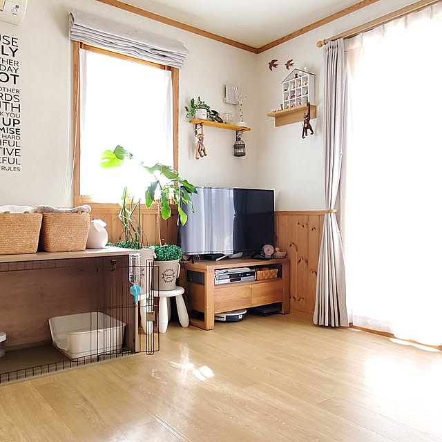 satosanさんの部屋