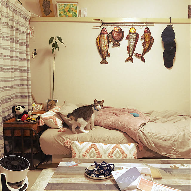 mikenekoさんの実例写真