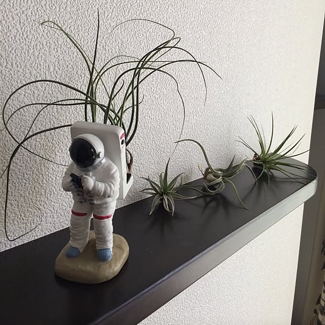sumireさんの実例写真