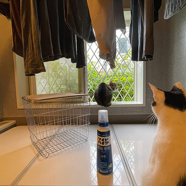 nobikoさんの部屋