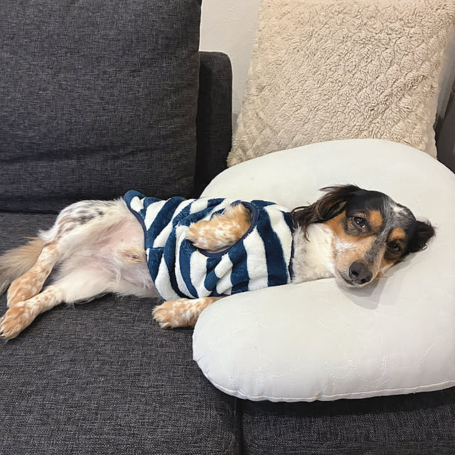 hnk2622さんの部屋