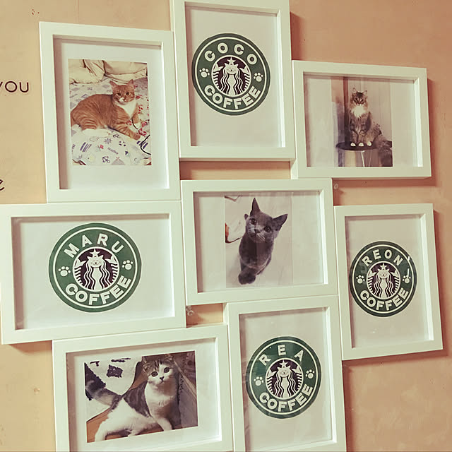 CATさんの実例写真