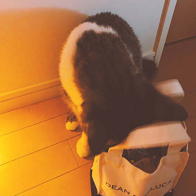 choco3さんの実例写真