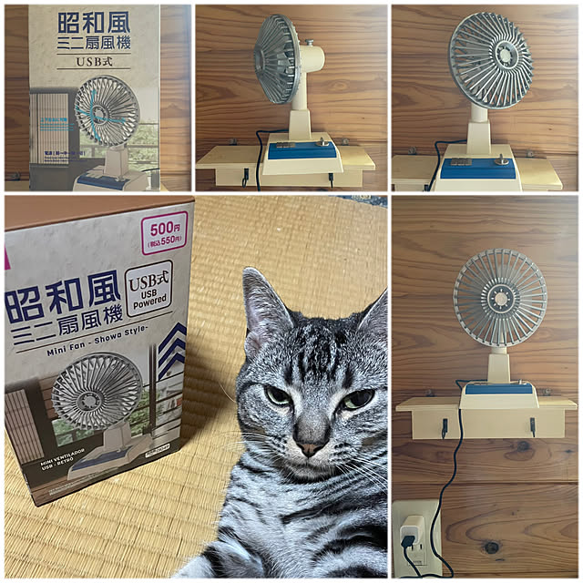 昭和、レトロ たまらなく ナショナル、壁掛け扇風機 売買された 昭和、レトロ たまらなく ナショナル、壁掛け扇風機 売買された