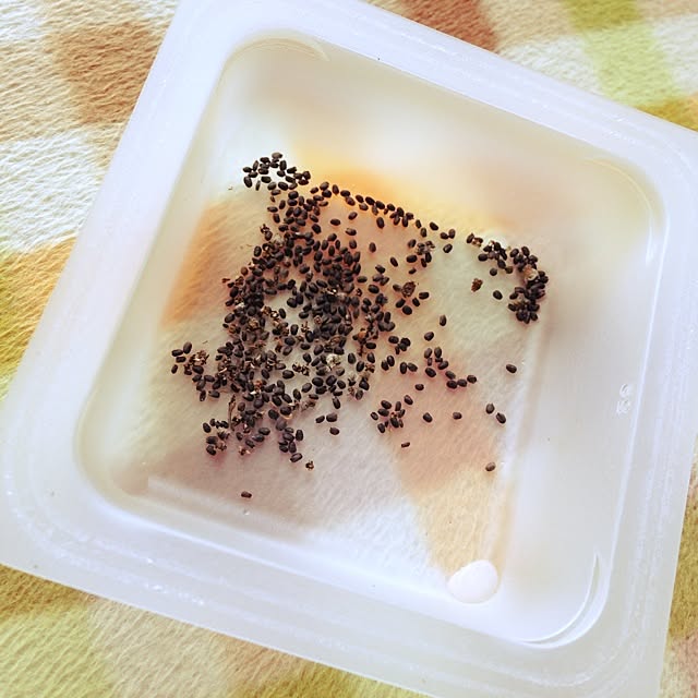 mamingaさんの実例写真