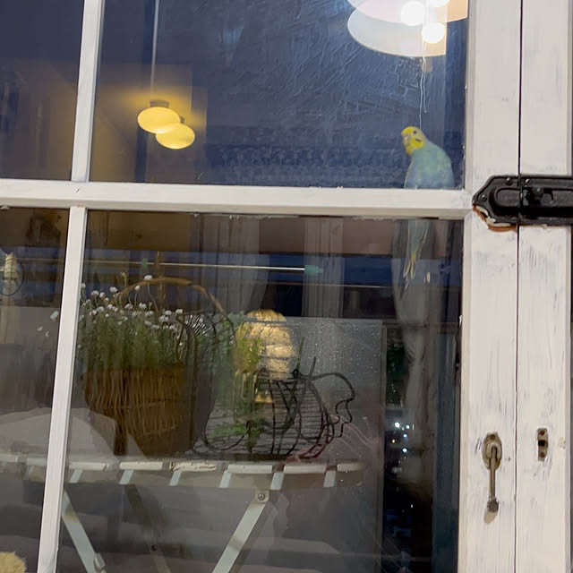 Atsukoさんの部屋