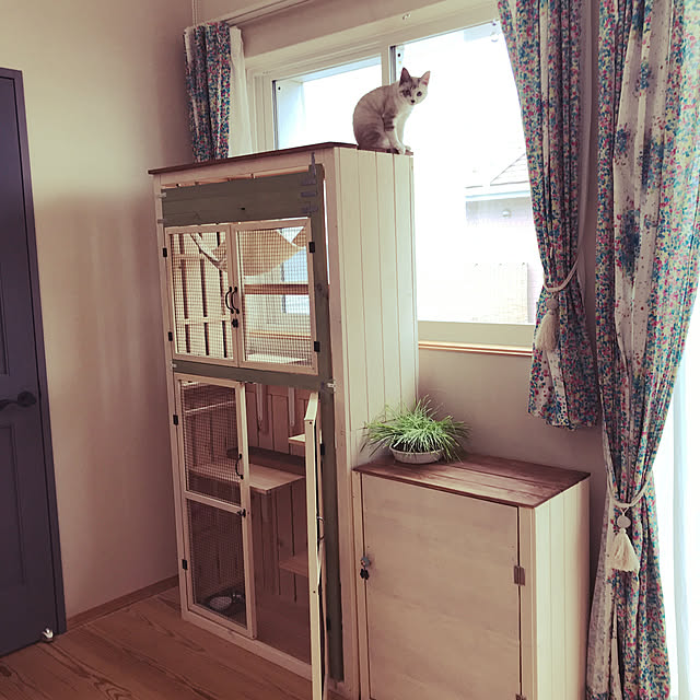 nekomoriさんの実例写真