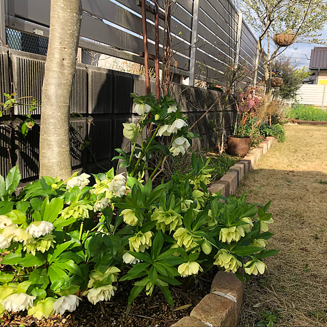 nanachanmamaさんの実例写真