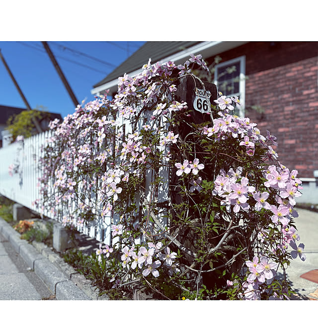 usagiさんの部屋