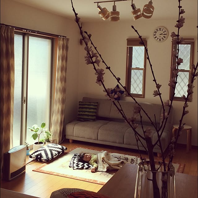 nischal0326さんの実例写真