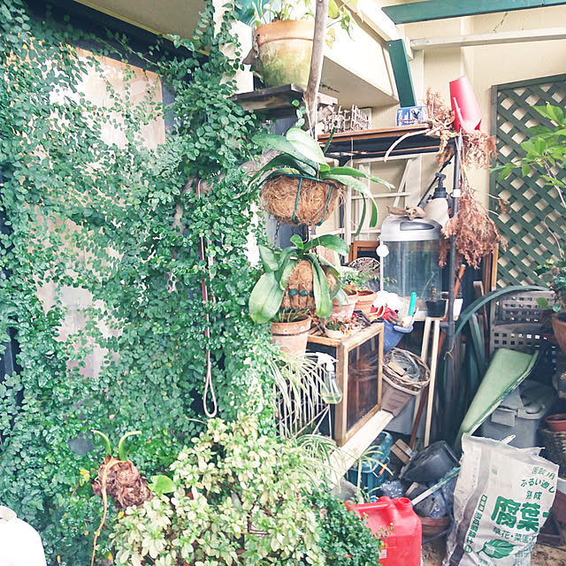 soraさんの実例写真