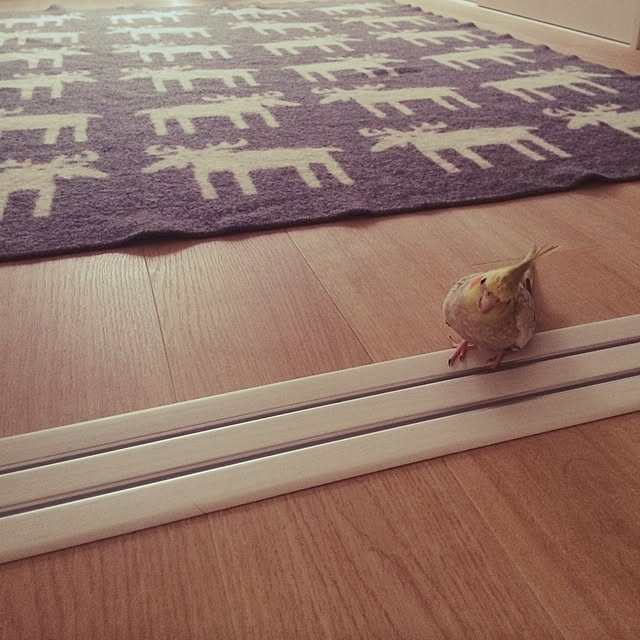 hapiさんの実例写真