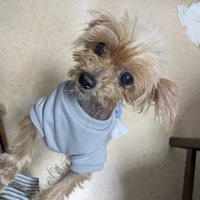 minnieさんの部屋