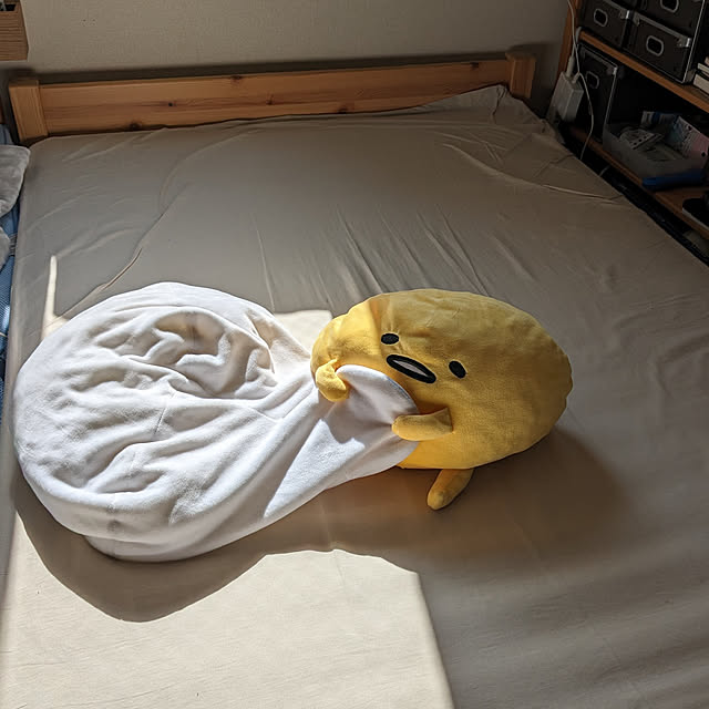 lala_moraさんの実例写真