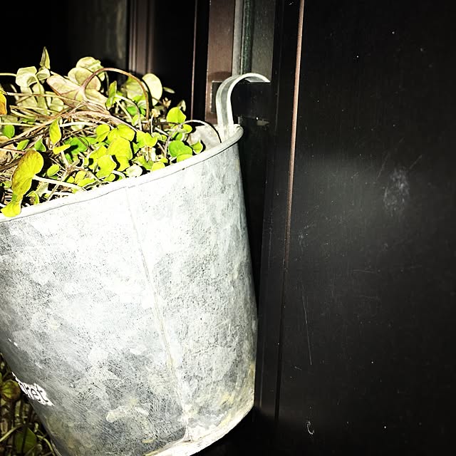 yoppyさんの実例写真