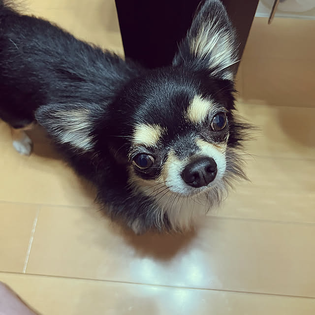 dawnrannarさんの実例写真