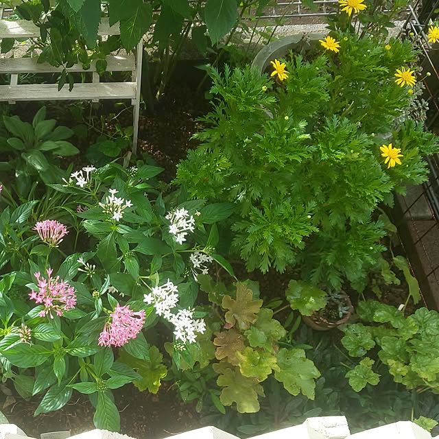 mmpoohさんの実例写真