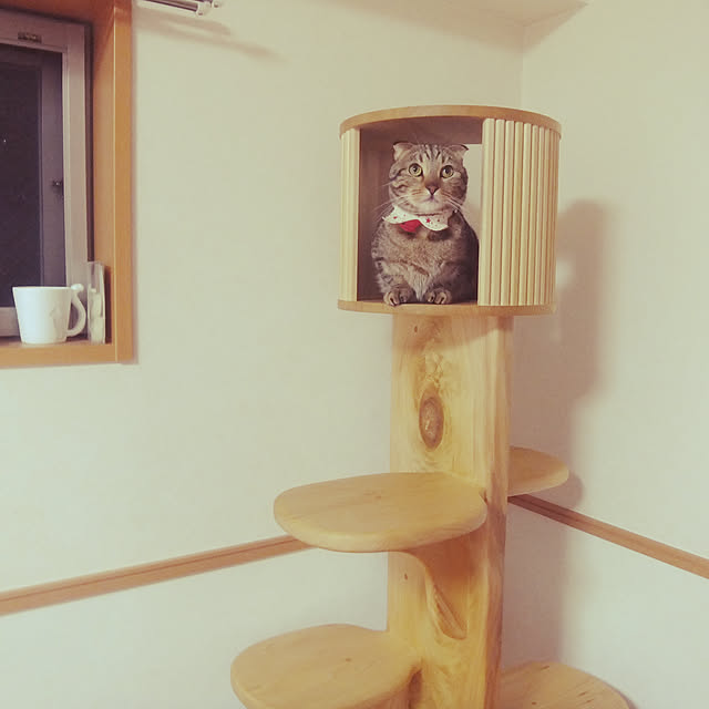 kozaさんの実例写真