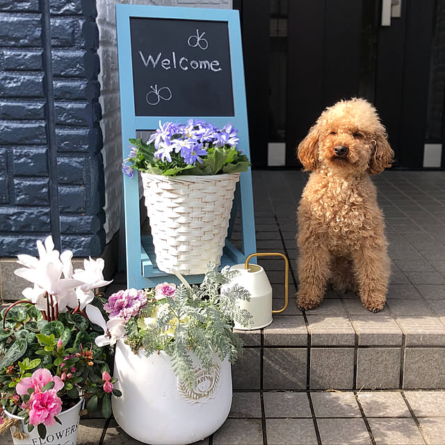 blueberryさんの実例写真