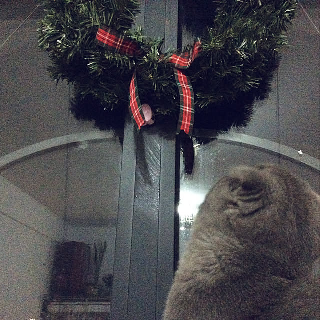 fannylf1103さんの実例写真