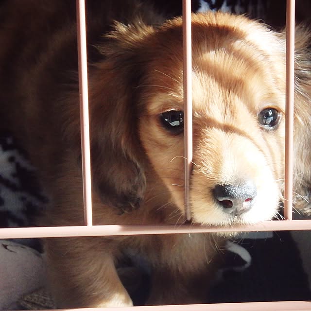 sachi.oさんの実例写真