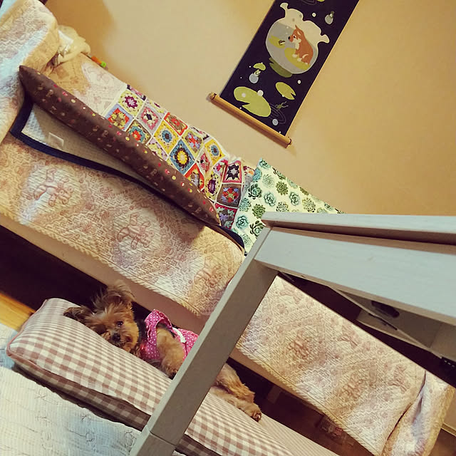 chiikokunさんの実例写真