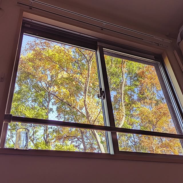 araigumaさんの実例写真