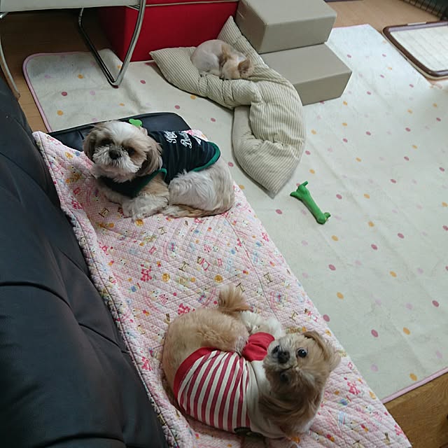 ronさんの実例写真