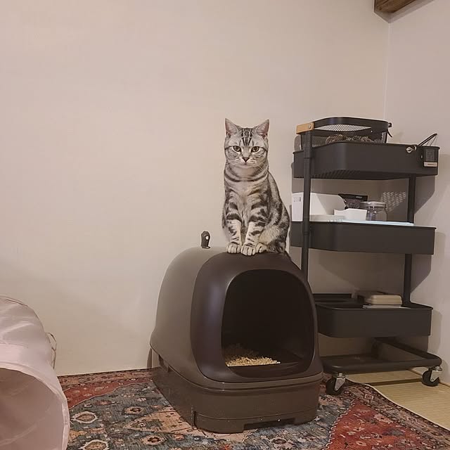 lovepeaceさんの部屋