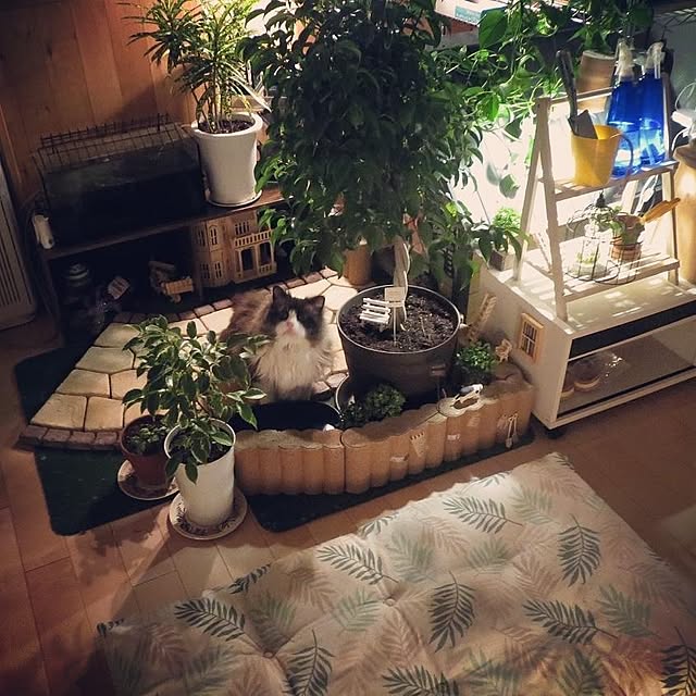 hiroshiさんの実例写真