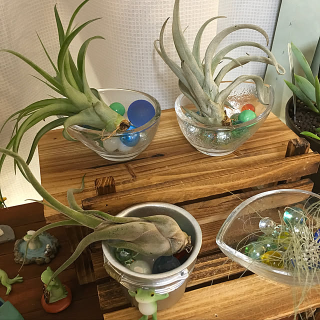 Michiさんの実例写真