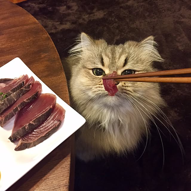 butachanさんの実例写真