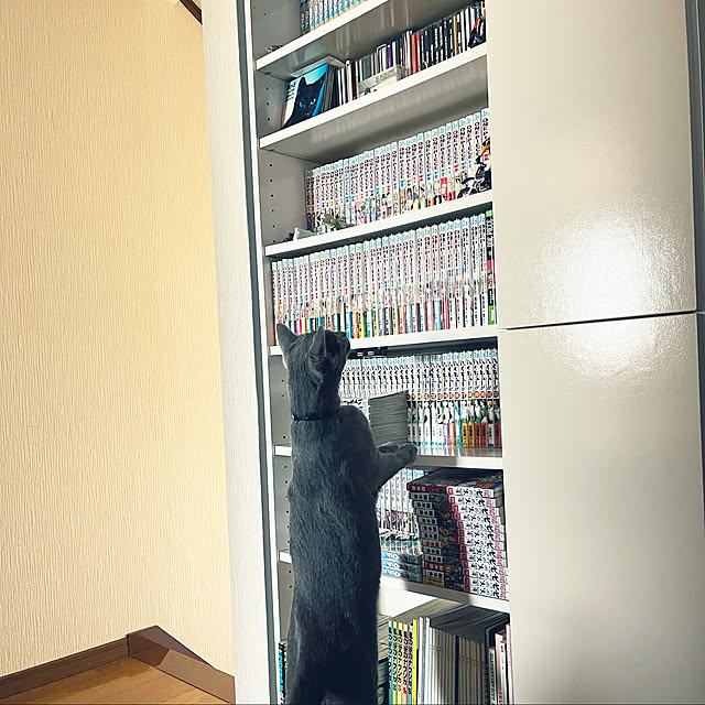 kyonさんの実例写真
