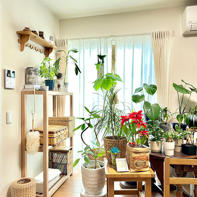 misoさんの実例写真