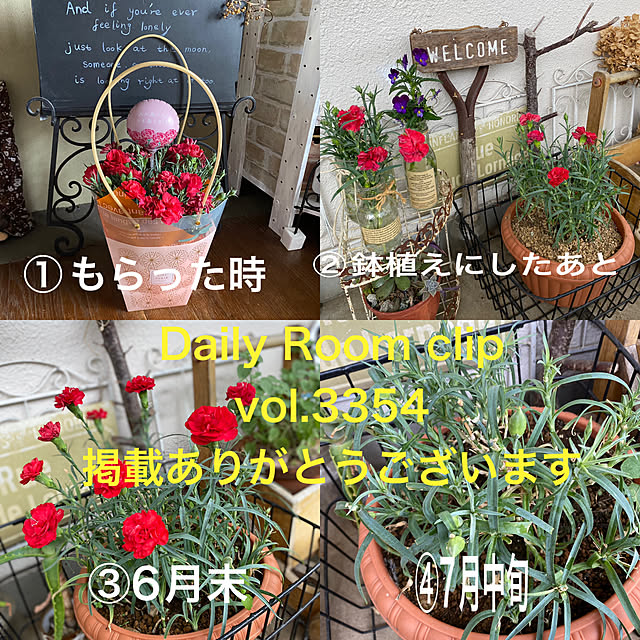 mamiさんの実例写真