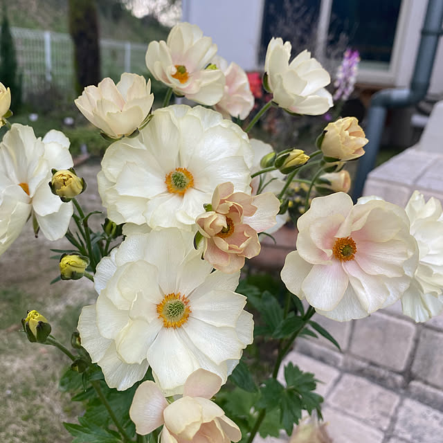 yukiさんの実例写真