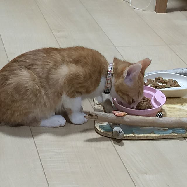 soundblueaquaさんの実例写真
