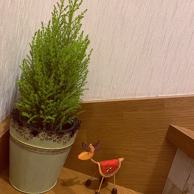 部屋全体のインテリア実例 - 2020-12-19 05:57:22