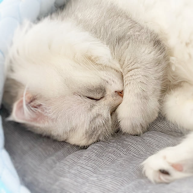 luna.comさんの実例写真