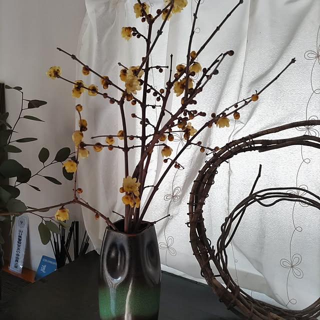 salacocoさんの部屋