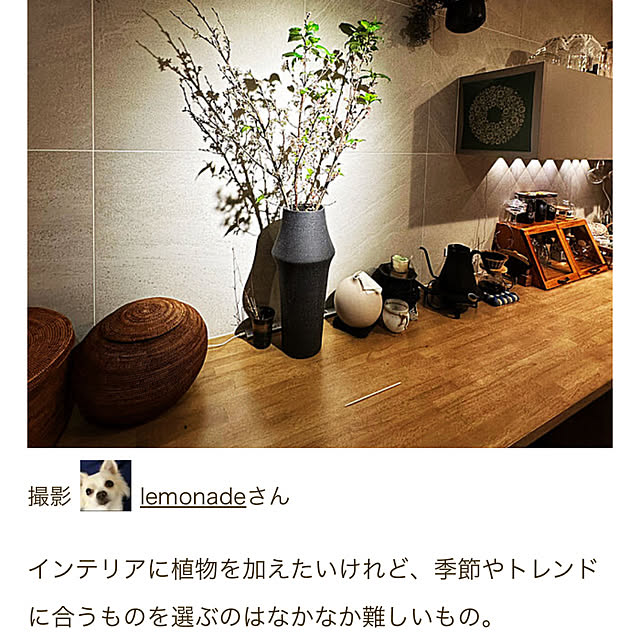 lemonadeさんの実例写真