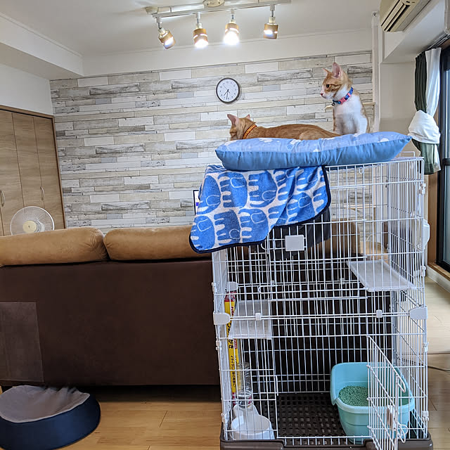 kattsunさんの実例写真