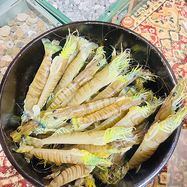 takakuzenさんの実例写真