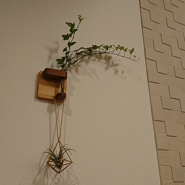 junaさんの実例写真