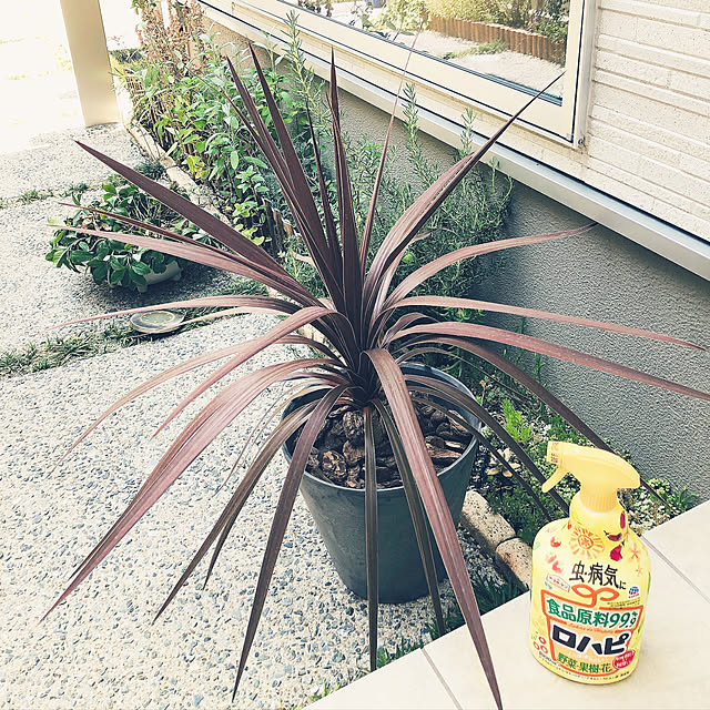 so.yuさんの実例写真