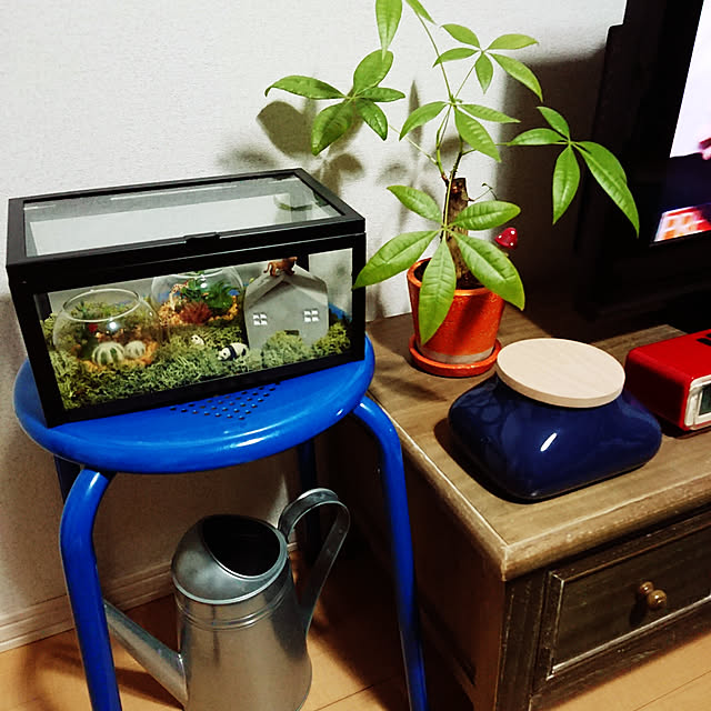 aricocoさんの実例写真