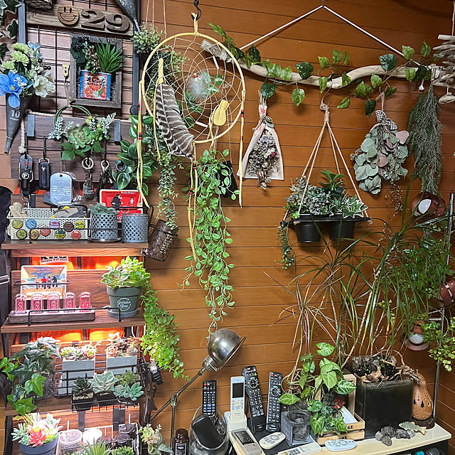 hikoさんの実例写真